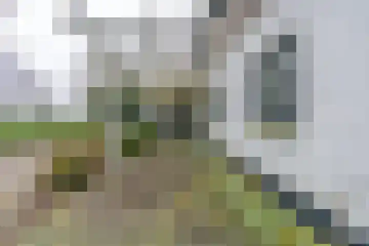 Graaf Huibertlaan 46 Everdingen thumbnail 22