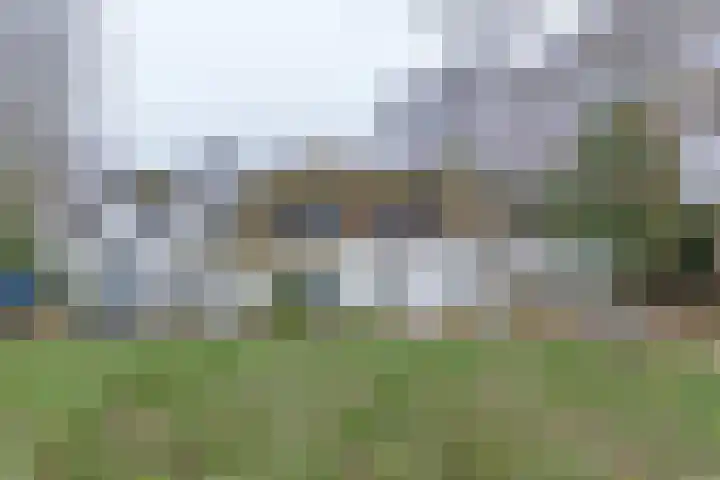Graaf Huibertlaan 46 Everdingen thumbnail 23