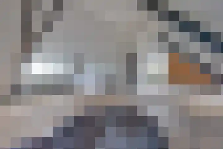 Graaf Huibertlaan 46 Everdingen thumbnail 32
