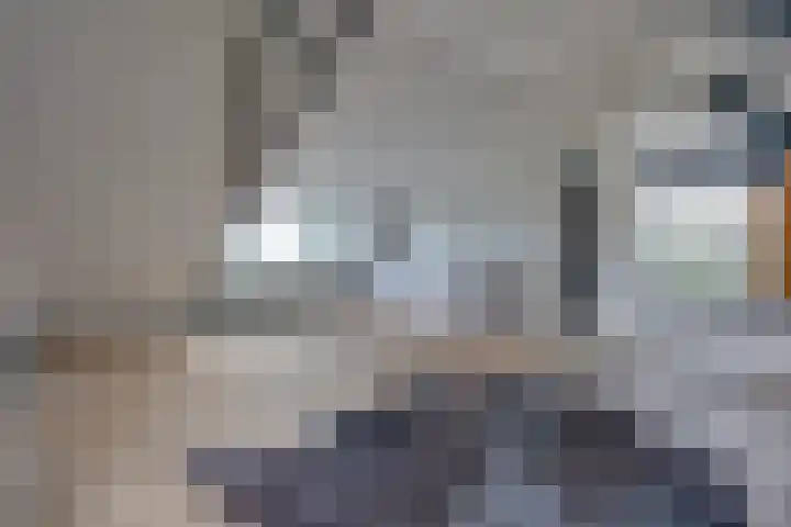 Graaf Huibertlaan 46 Everdingen thumbnail 33