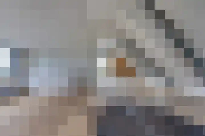 Graaf Huibertlaan 46 Everdingen thumbnail 34