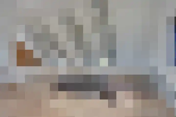 Graaf Huibertlaan 46 Everdingen thumbnail 35