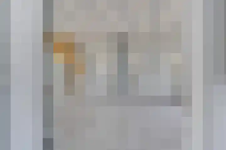 Graaf Huibertlaan 46 Everdingen thumbnail 43