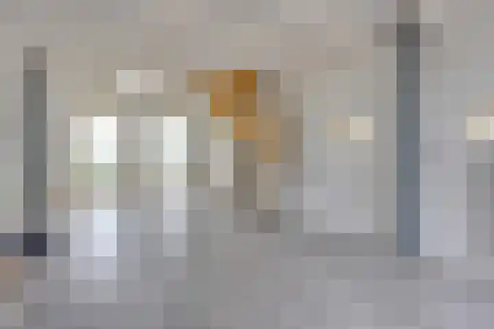 Graaf Huibertlaan 46 Everdingen thumbnail 46