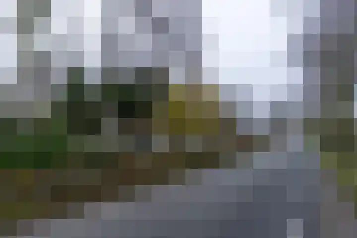 Graaf Huibertlaan 46 Everdingen thumbnail 54