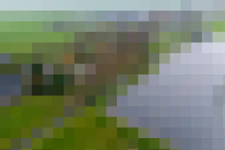 Graaf Huibertlaan 46 Everdingen thumbnail 55