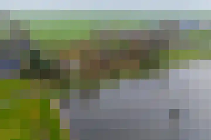 Graaf Huibertlaan 46 Everdingen thumbnail 56