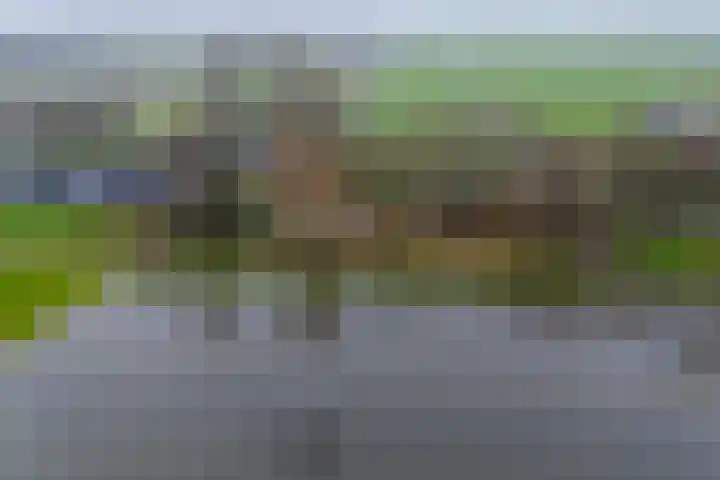 Graaf Huibertlaan 46 Everdingen thumbnail 57
