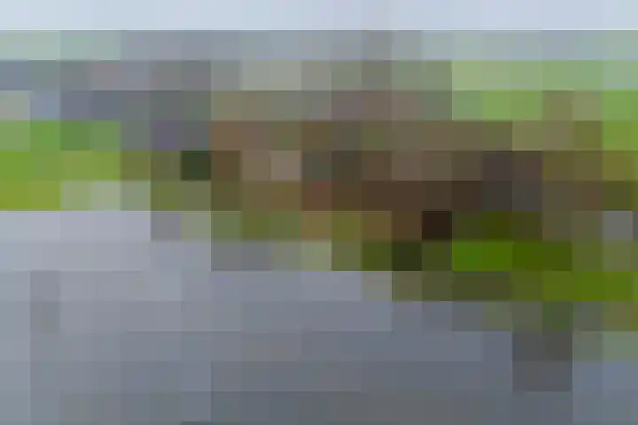 Graaf Huibertlaan 46 Everdingen thumbnail 58