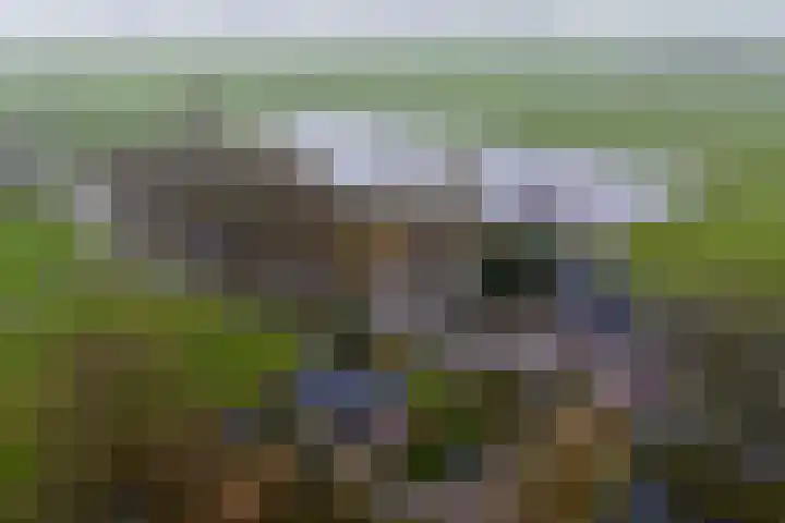 Graaf Huibertlaan 46 Everdingen thumbnail 60