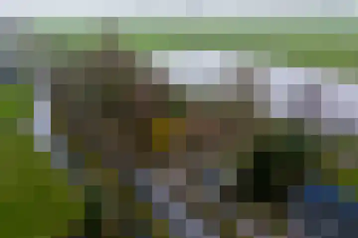 Graaf Huibertlaan 46 Everdingen thumbnail 61