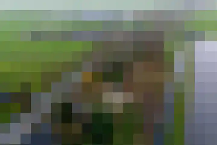 Graaf Huibertlaan 46 Everdingen thumbnail 62