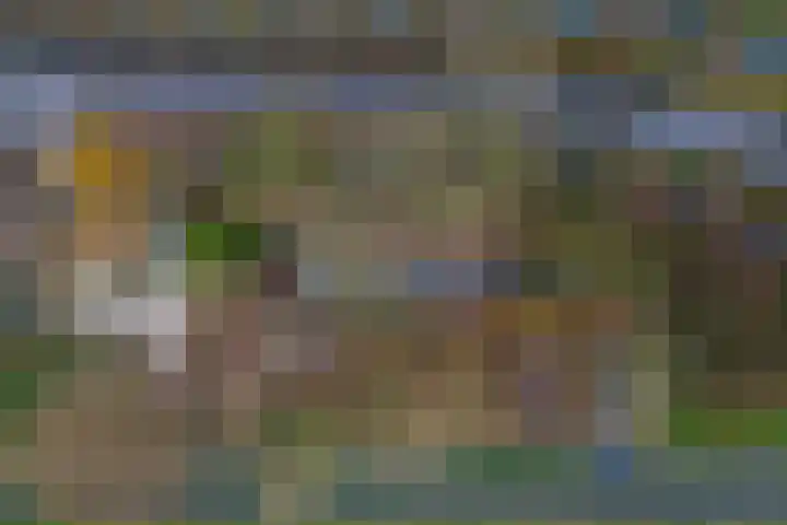 Graaf Huibertlaan 46 Everdingen thumbnail 63
