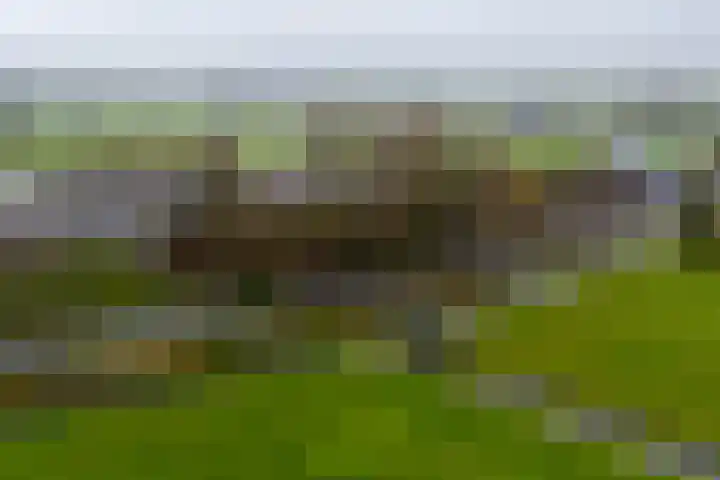 Graaf Huibertlaan 46 Everdingen thumbnail 64