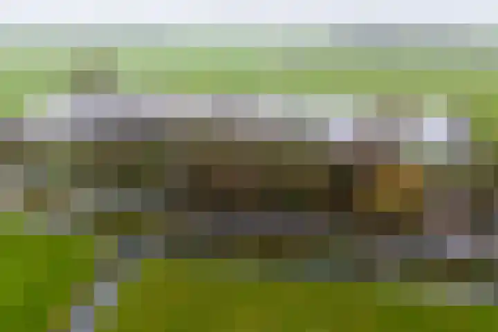 Graaf Huibertlaan 46 Everdingen thumbnail 65
