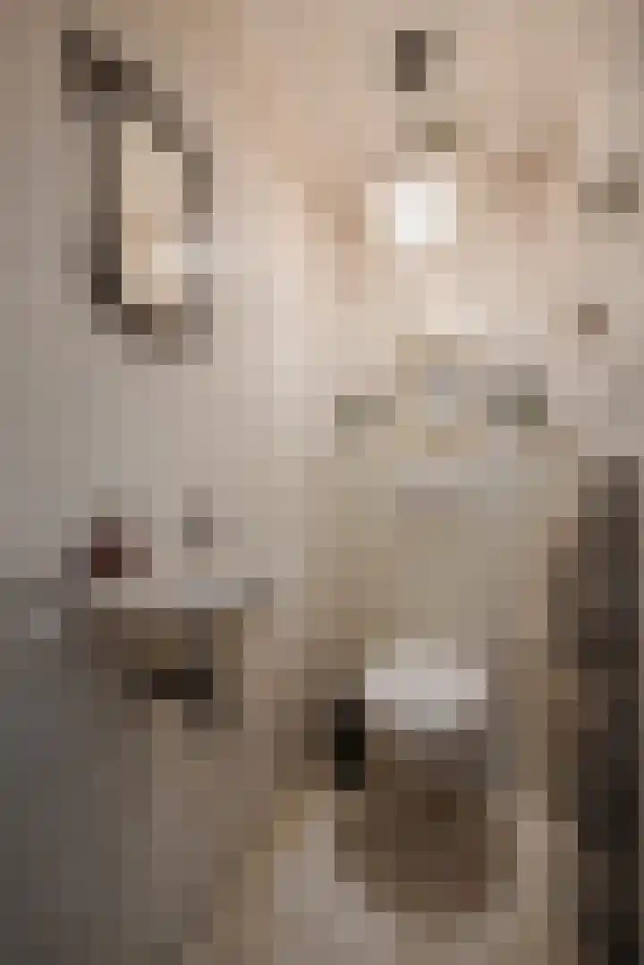 Graaf Huynlaan 12 A Geleen thumbnail 12