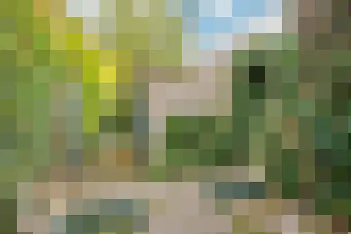 Graaf Huynlaan 12 A Geleen thumbnail 20