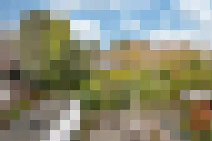 Graaf Huynlaan 12 A Geleen thumbnail 21