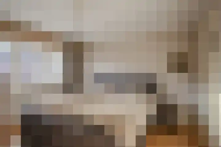 Graaf Huynlaan 12 A Geleen thumbnail 4