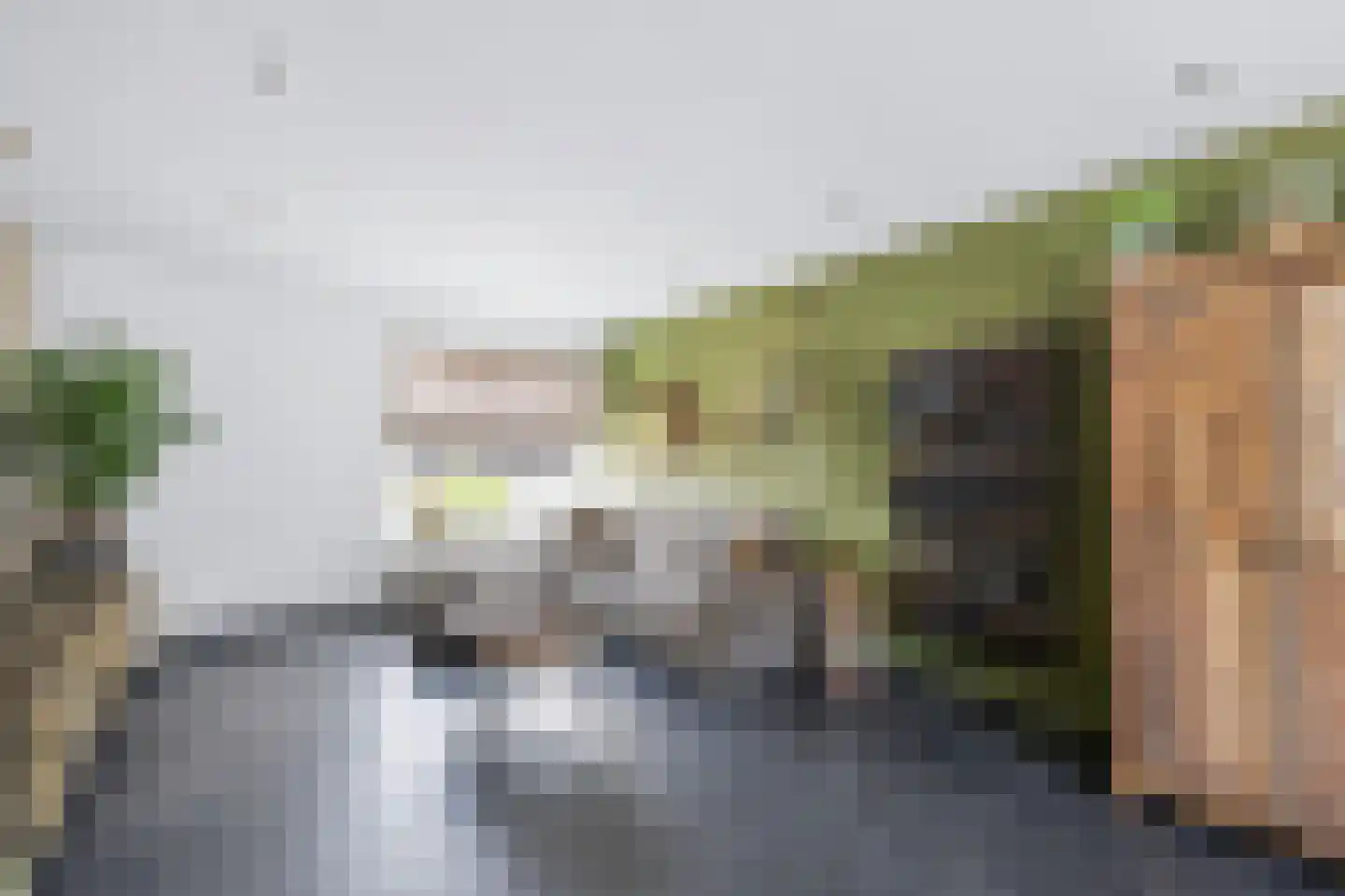 Graaf Jacobstraat 17 Horn thumbnail 10