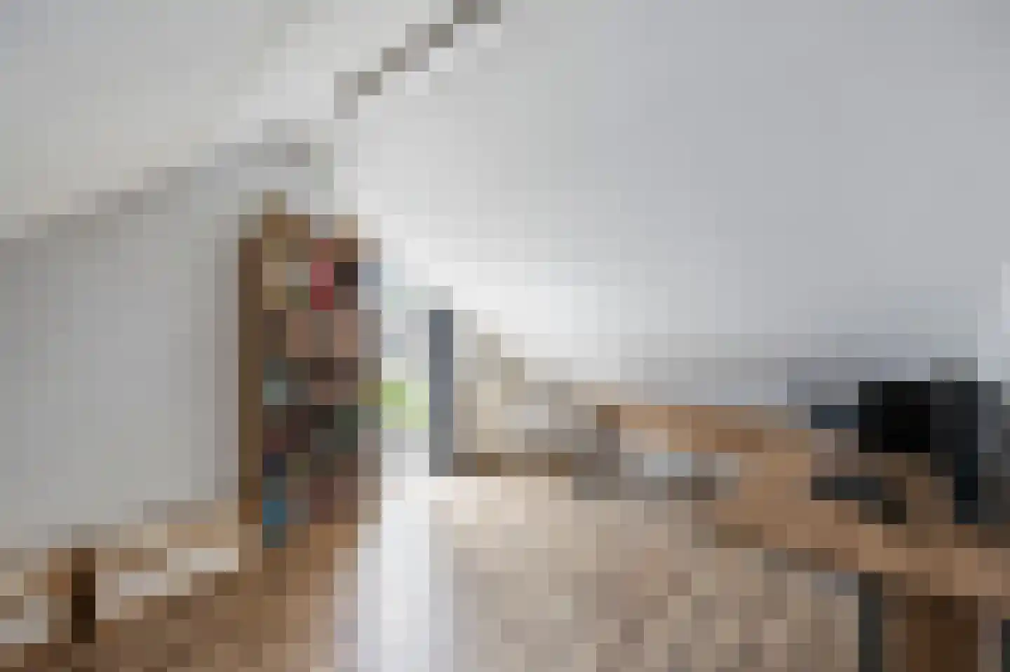 Graaf Jacobstraat 17 Horn thumbnail 21