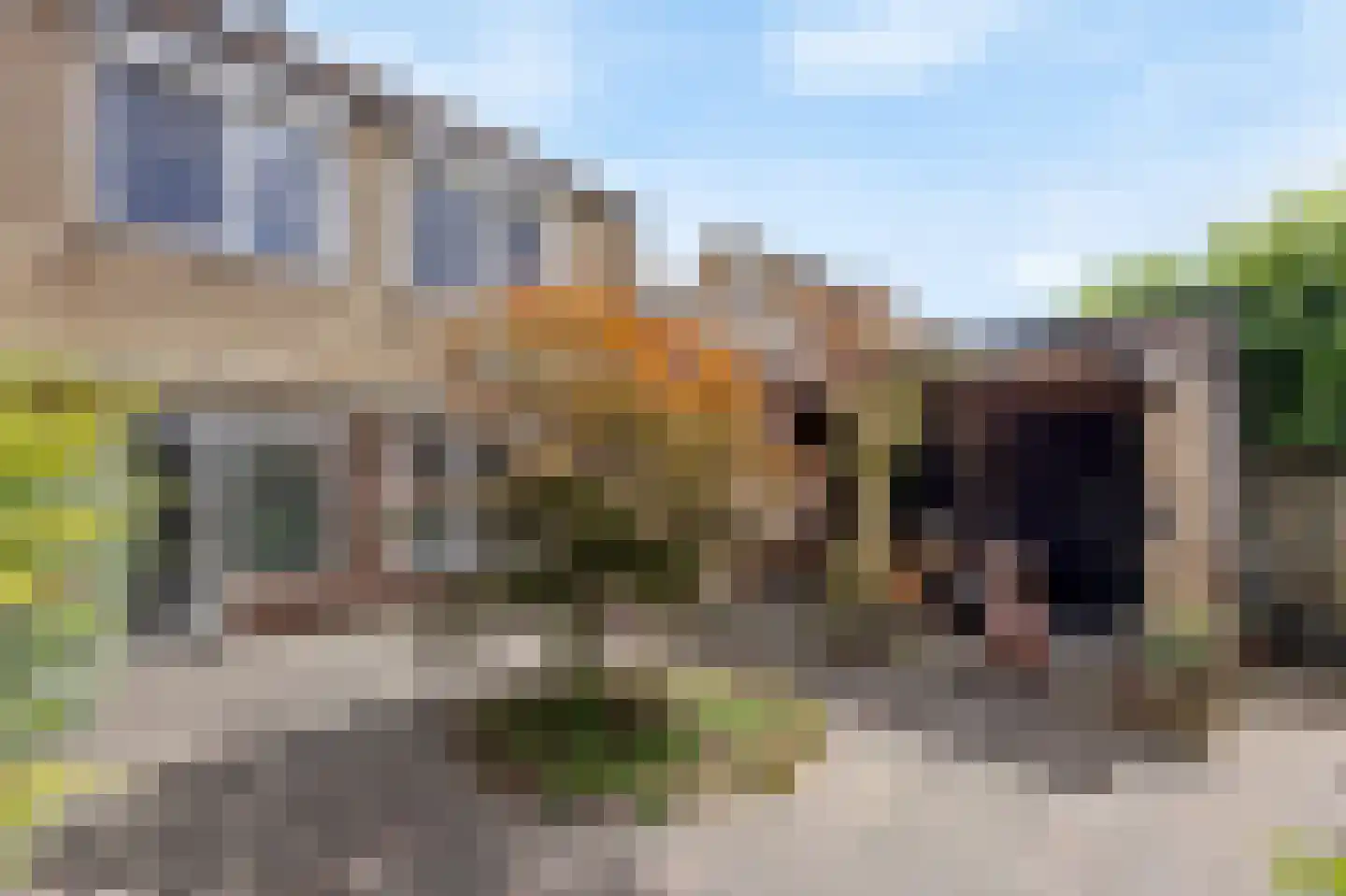 Graaf Jacobstraat 17 Horn thumbnail 24