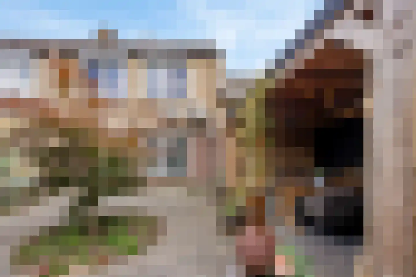 Graaf Jacobstraat 17 Horn thumbnail 25