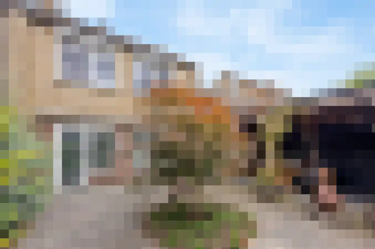 Graaf Jacobstraat 17 Horn thumbnail 28