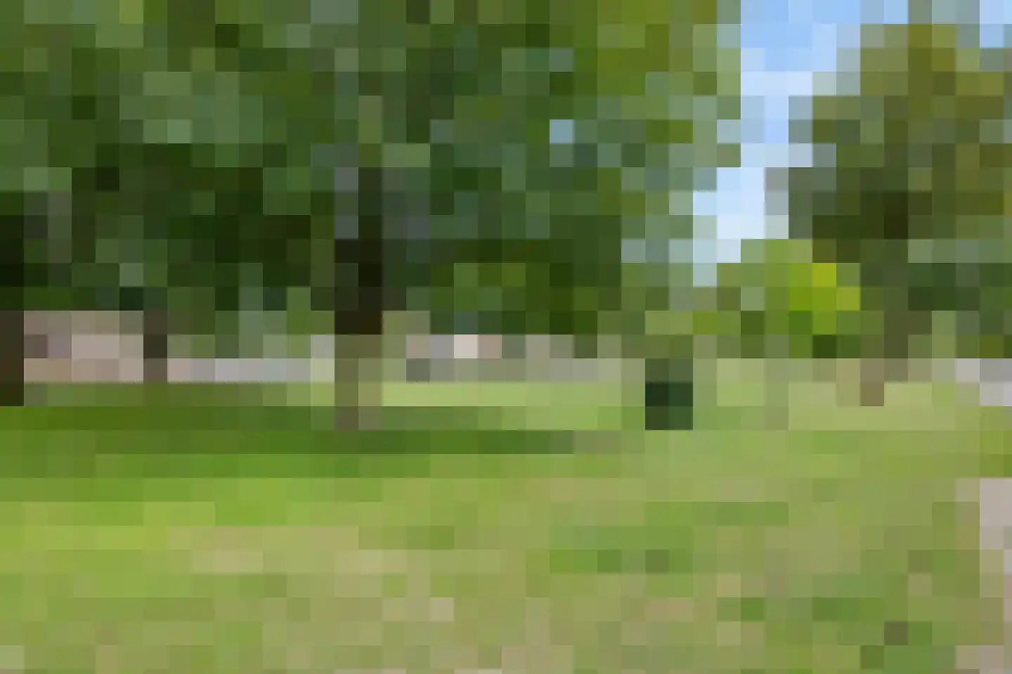 Graaf Jacobstraat 17 Horn thumbnail 32