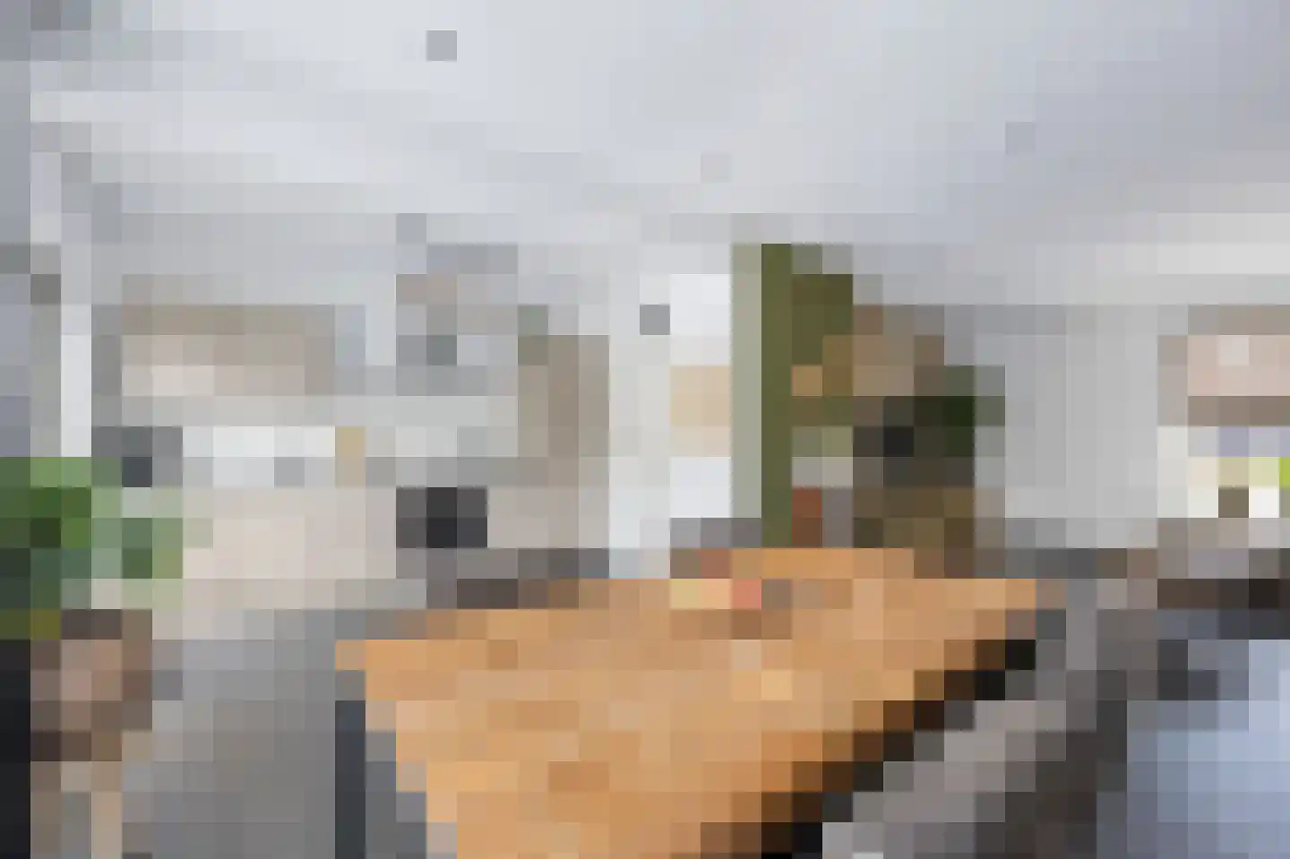Graaf Jacobstraat 17 Horn thumbnail 5