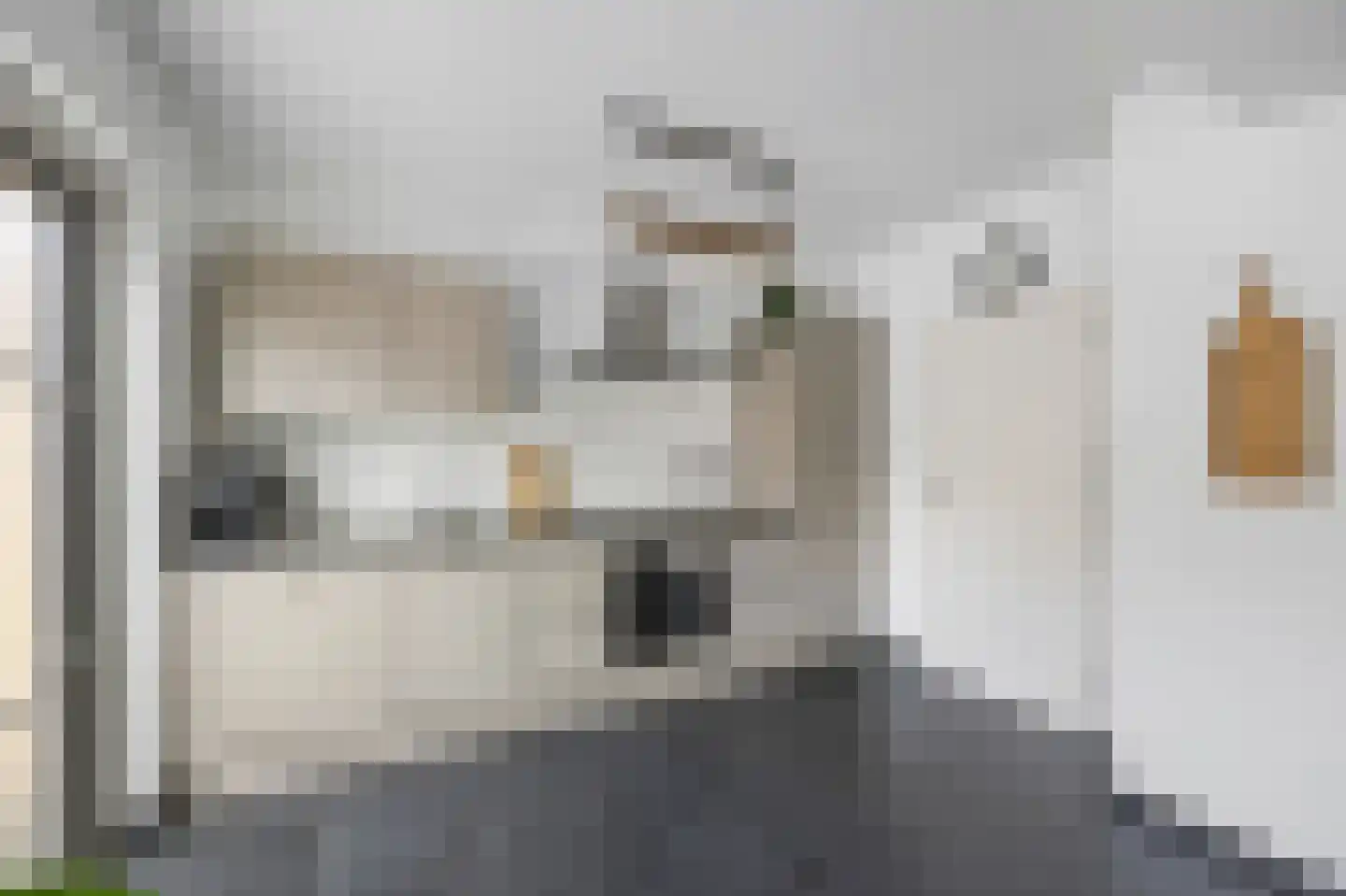Graaf Jacobstraat 17 Horn thumbnail 6