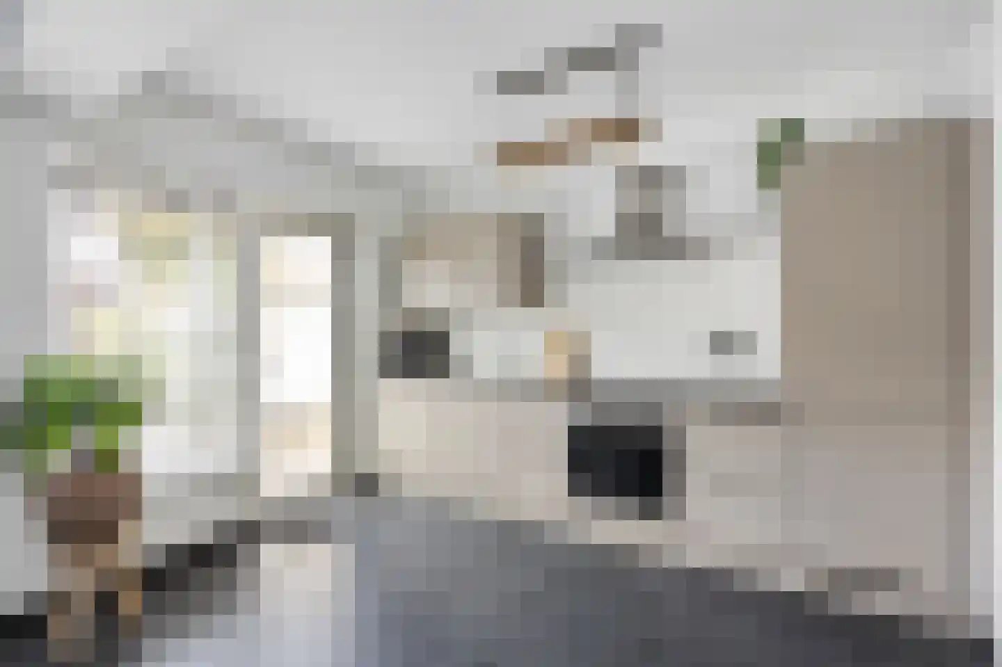 Graaf Jacobstraat 17 Horn thumbnail 7
