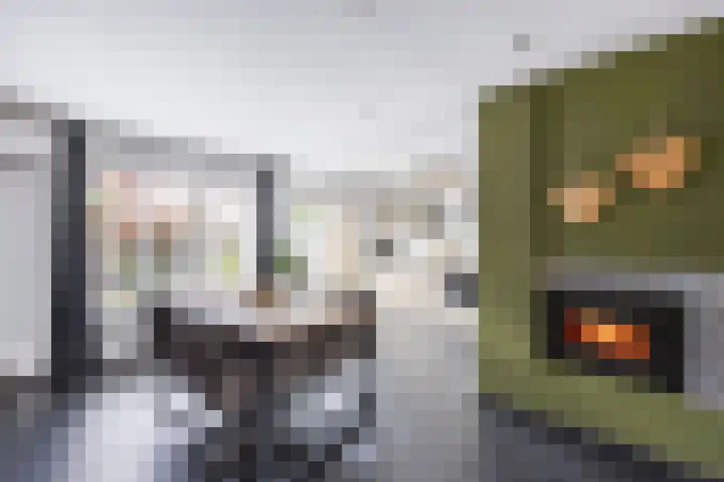 Graaf Jacobstraat 17 Horn thumbnail 8