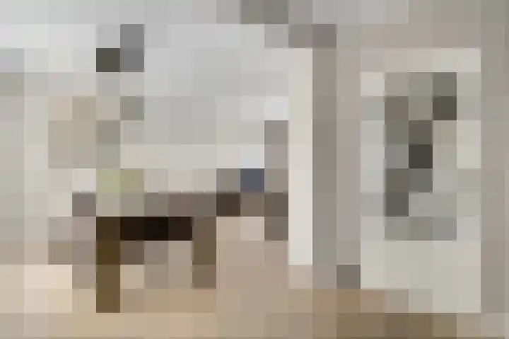 Graaf Jacobstraat 32 Horn thumbnail 10