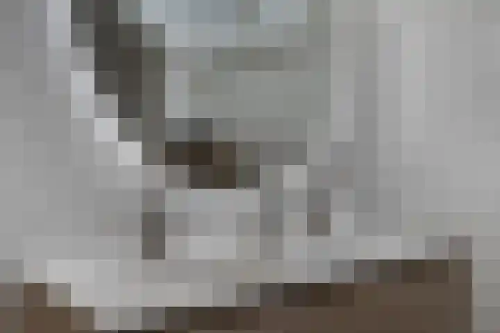 Graaf Jacobstraat 32 Horn thumbnail 11