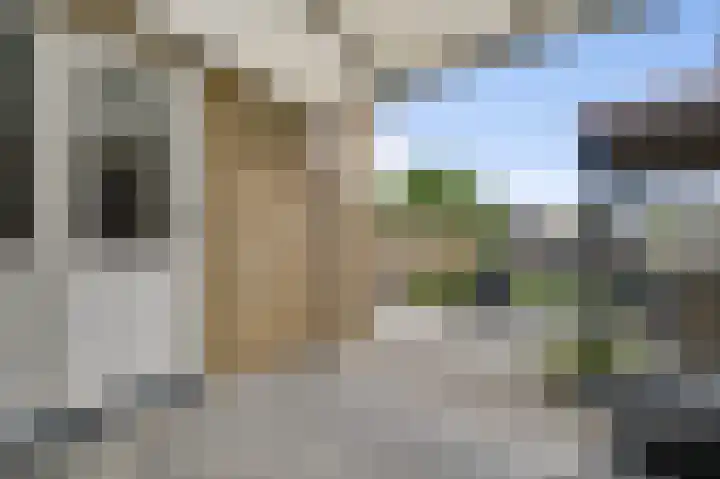 Graaf Jacobstraat 32 Horn thumbnail 17
