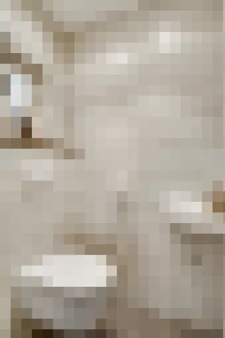 Graaf Jacobstraat 32 Horn thumbnail 8