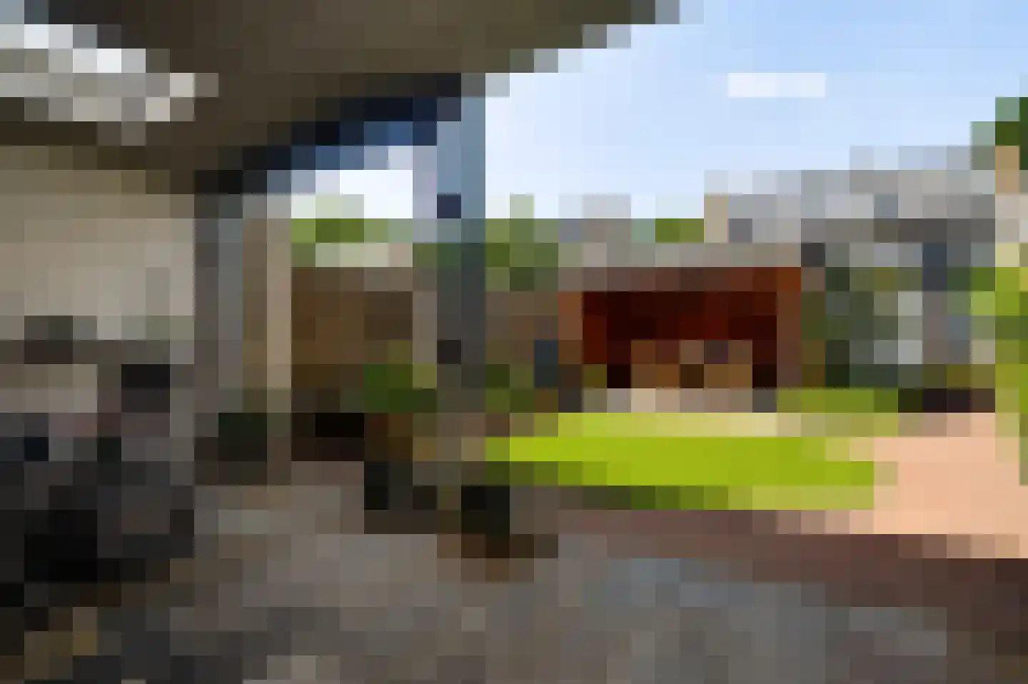 Graaf Jacobstraat 39 Horn thumbnail 17