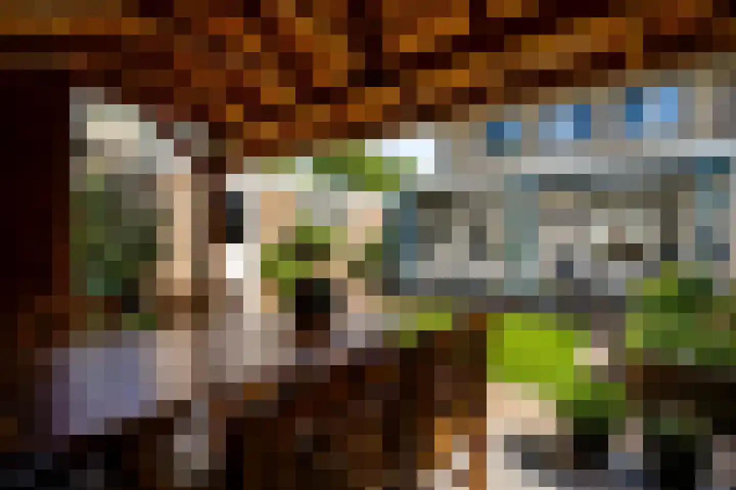 Graaf Jacobstraat 39 Horn thumbnail 20