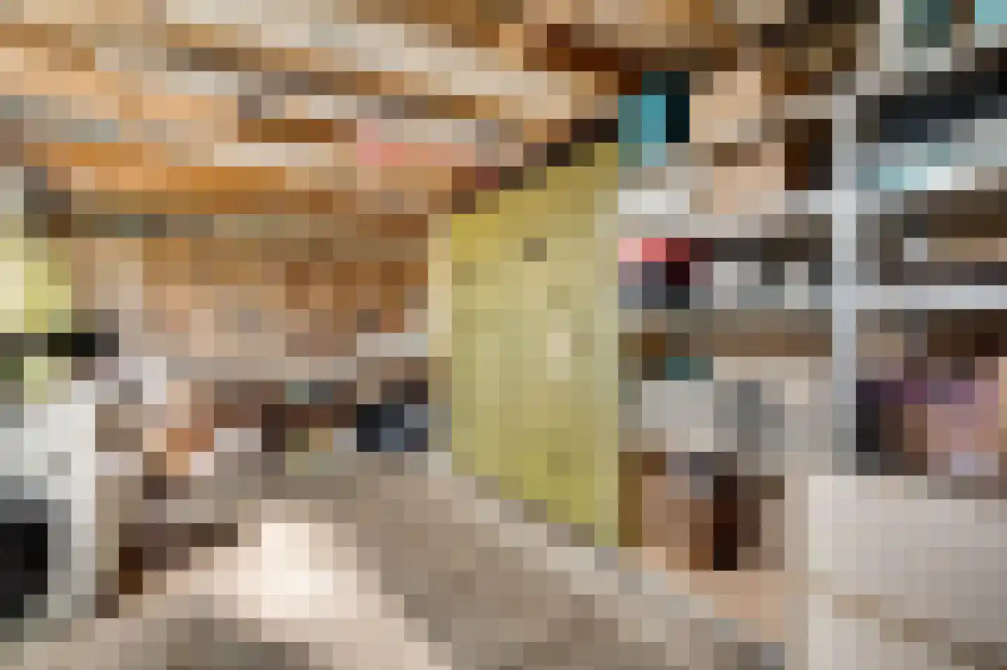 Graaf Jacobstraat 39 Horn thumbnail 22