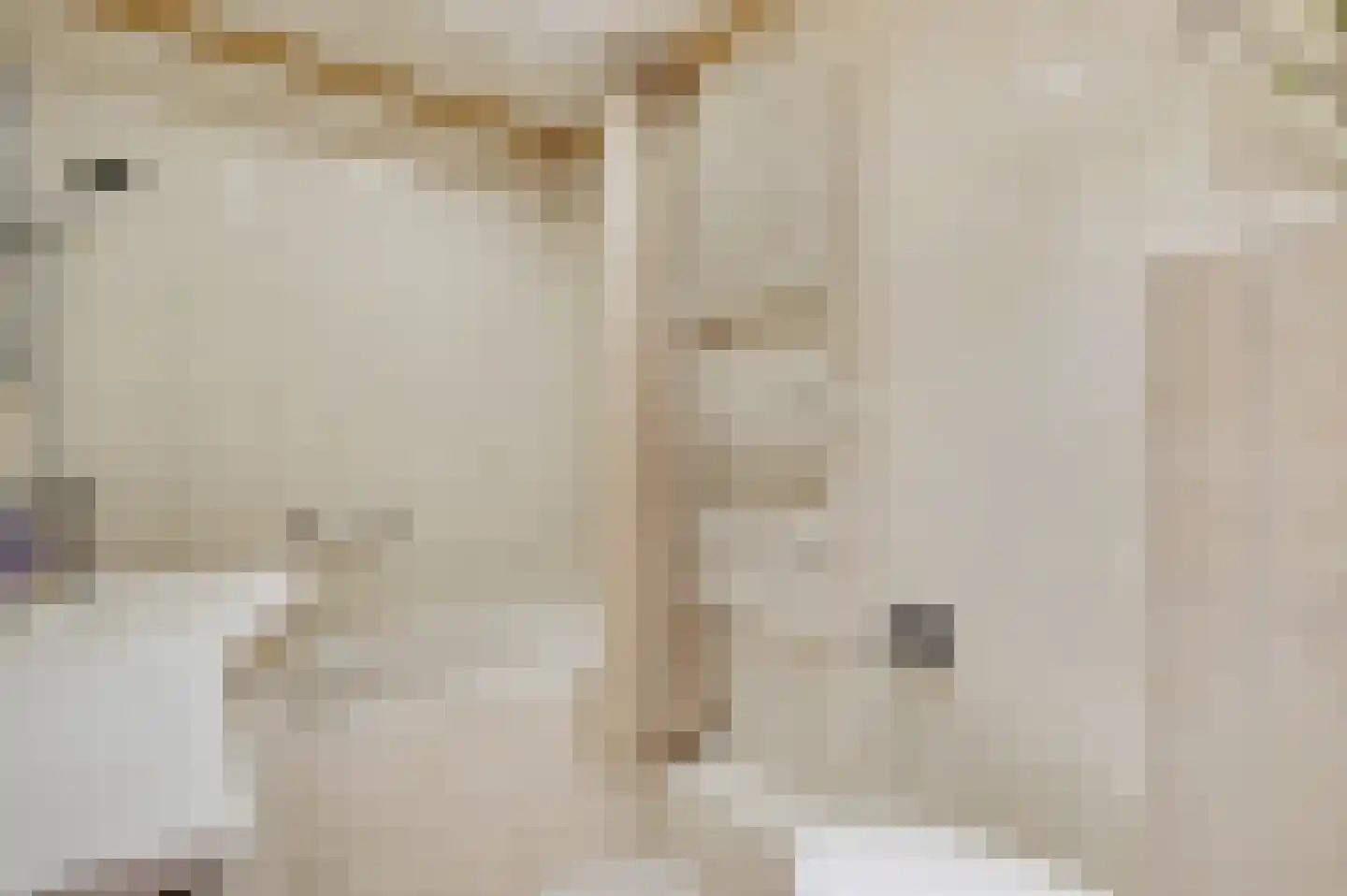 Graaf Jacobstraat 39 Horn thumbnail 31