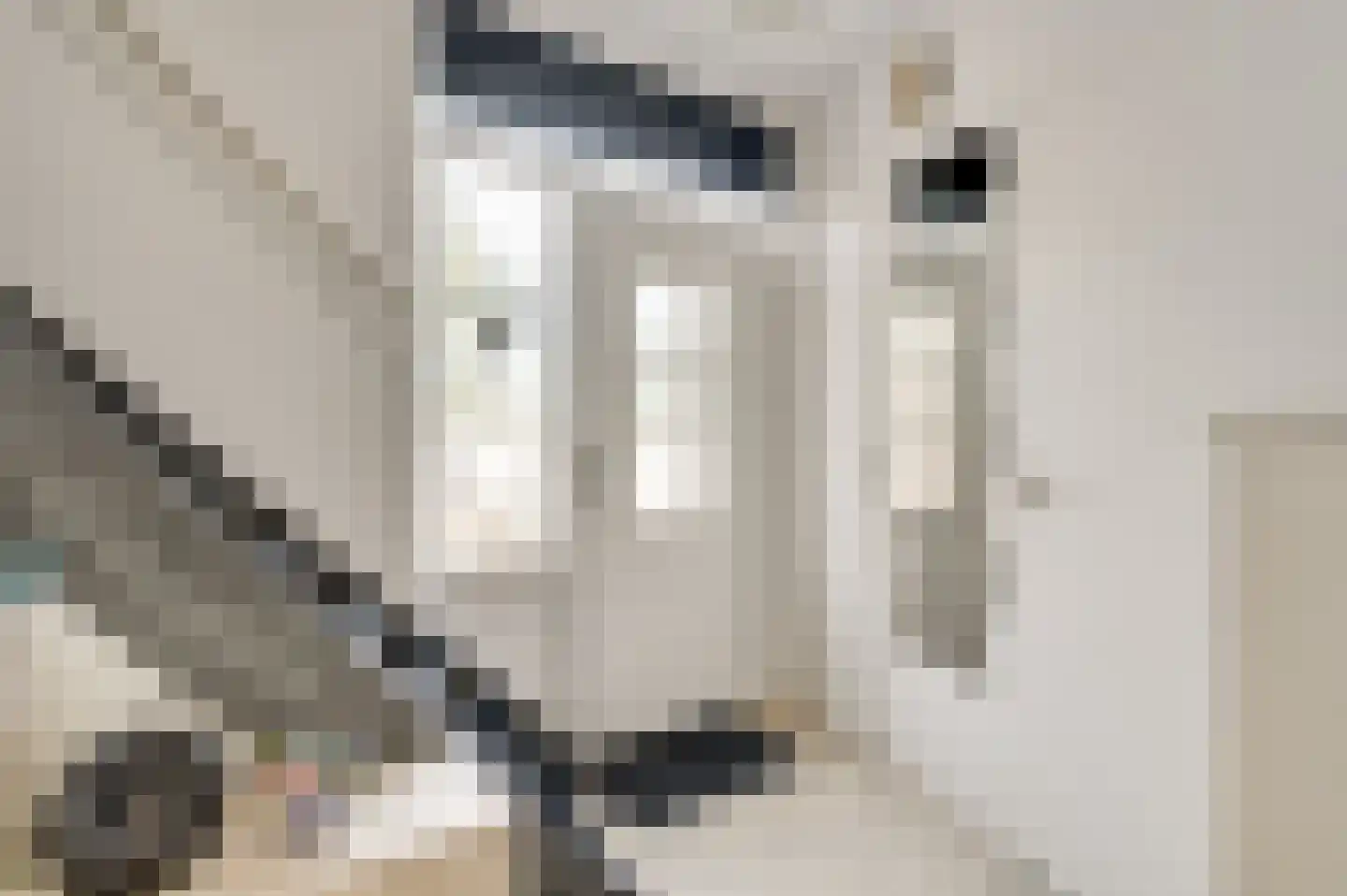 Graaf Jacobstraat 39 Horn thumbnail 6