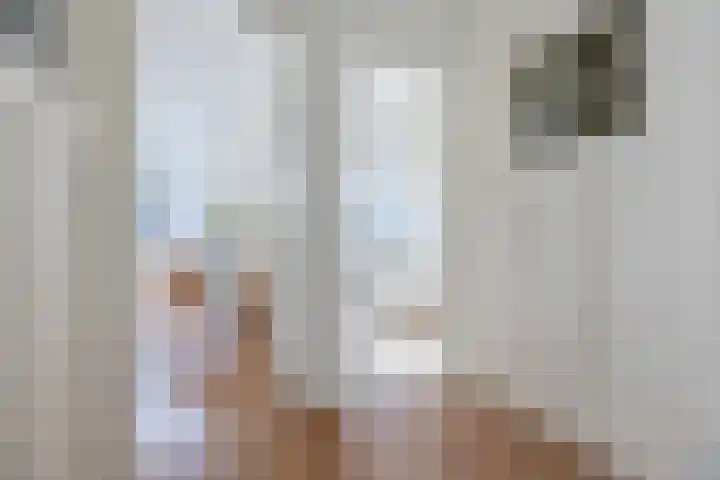 Graaf Jan van Nassaustraat 12 B Rotterdam thumbnail 17