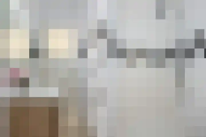 Graaf Jan van Nassaustraat 12 B Rotterdam thumbnail 19