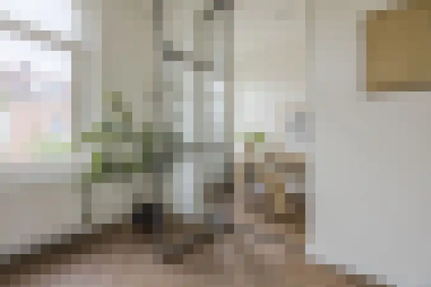 Graaf Jan van Nassaustraat 16 B Rotterdam thumbnail 10