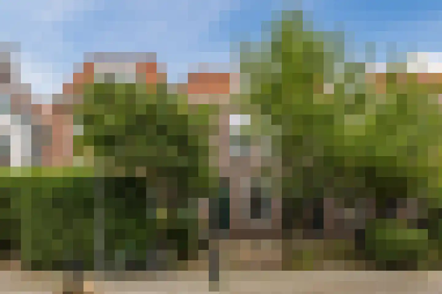 Graaf Jan van Nassaustraat 16 B Rotterdam thumbnail 32