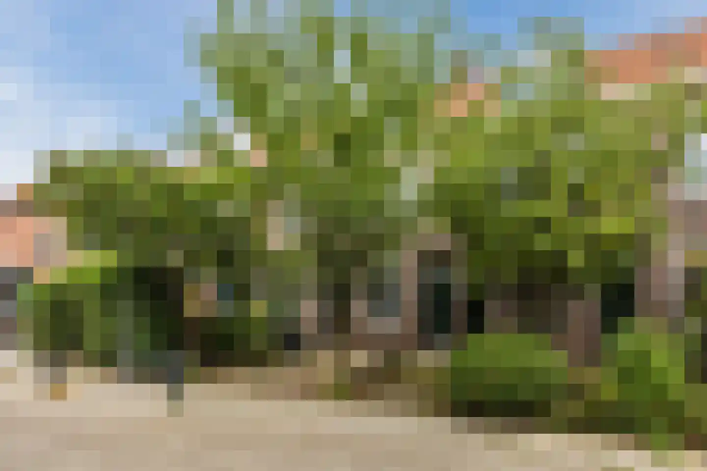 Graaf Jan van Nassaustraat 16 B Rotterdam thumbnail 33