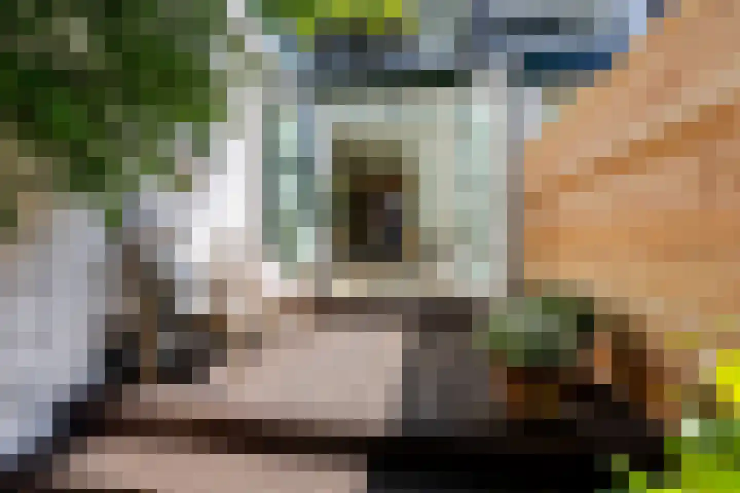Graaf Jan van Nassaustraat 3 A Rotterdam thumbnail 25