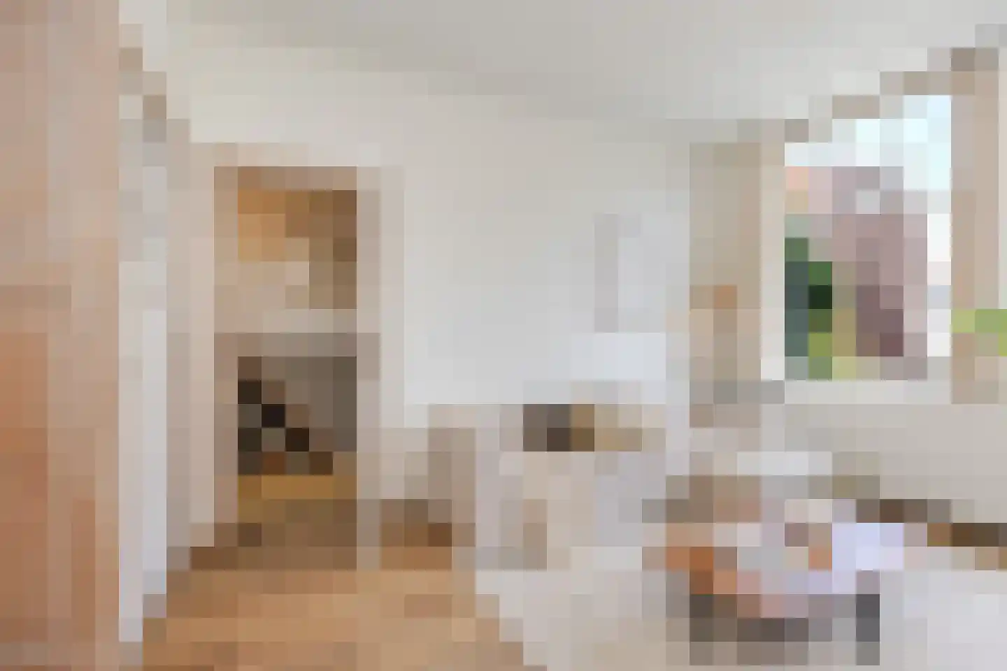 Graaf Jan van Nassaustraat 3 A Rotterdam thumbnail 6