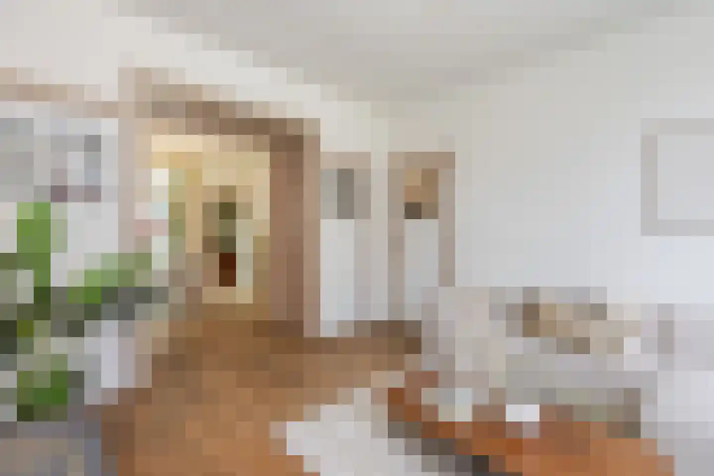 Graaf Jan van Nassaustraat 3 A Rotterdam thumbnail 9